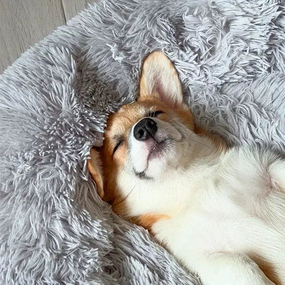 Calming Orthopedic Dog Bed