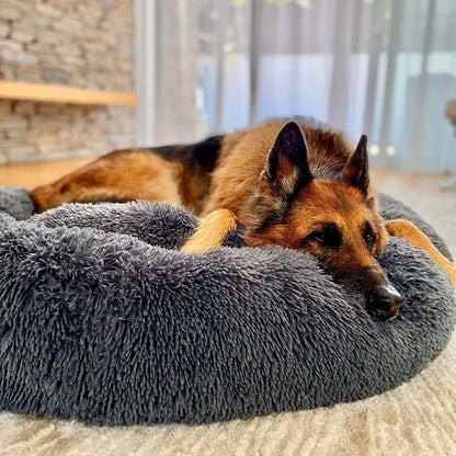 Calming Orthopedic Dog Bed