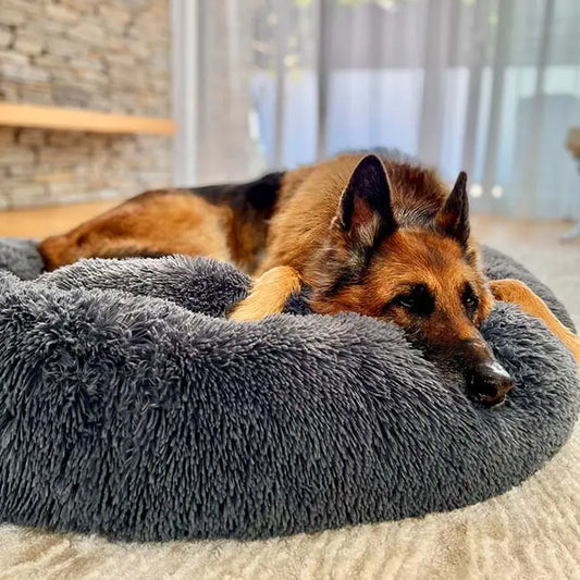 Calming Orthopedic Dog Bed